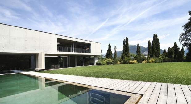 Suspendisse arcu nisl